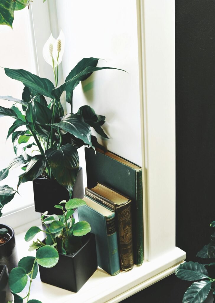 Add Greenery for Freshness Decorate Your Room with Simple Things for minimalist design