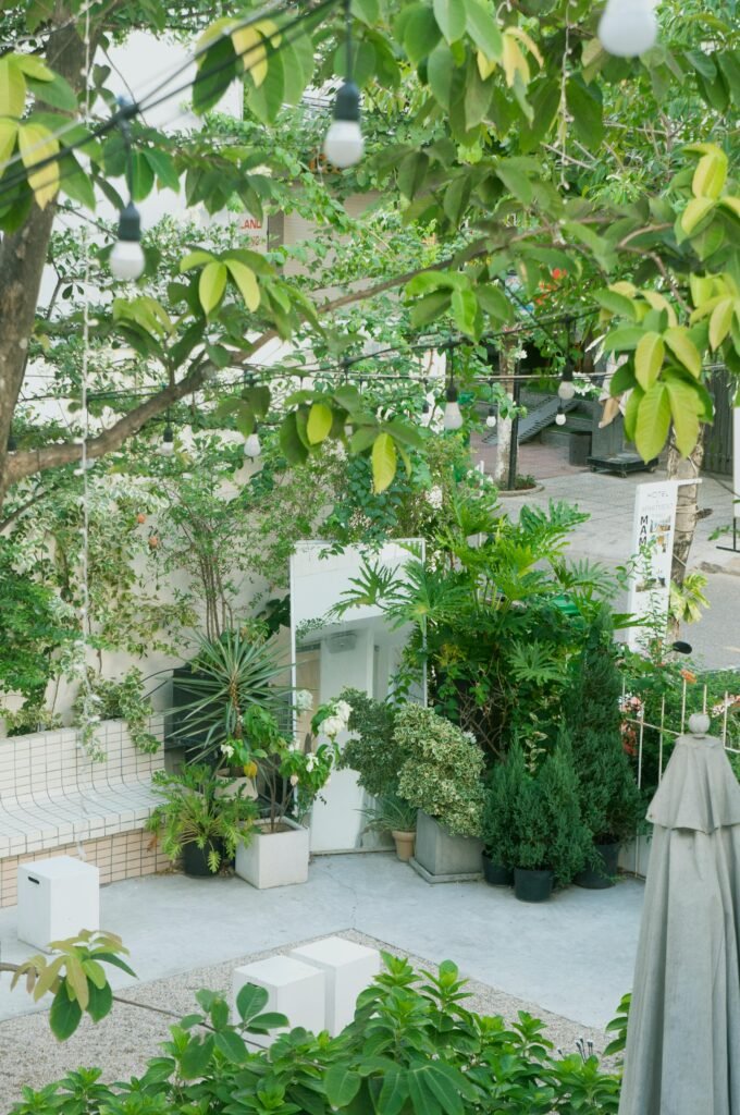Aesthetic and Landscape Design