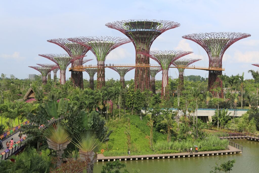 Gardens by the Bay types of landscape in modern urban development