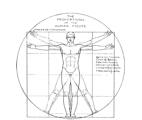 HUMAN PROPORTIONS to the Importance of Anthropometrics in Design