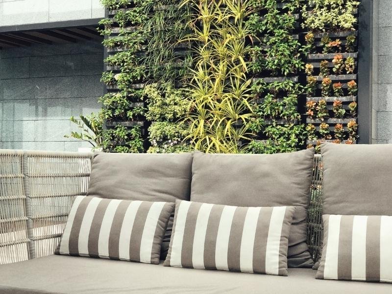 Vertical Garden on wall with variety of plants in the outdoor of Renew Your Space