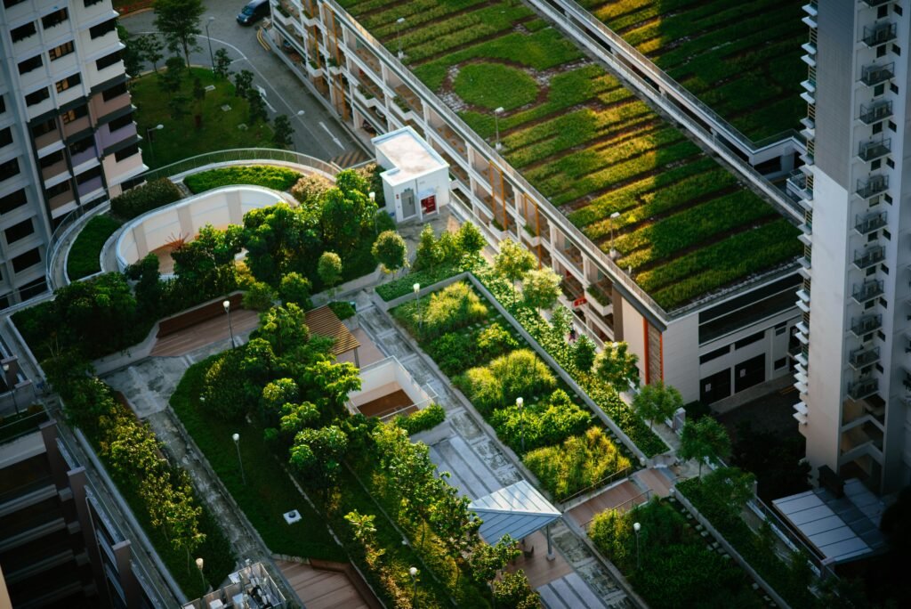 green spaces Environmental Site Design for LEED Certification