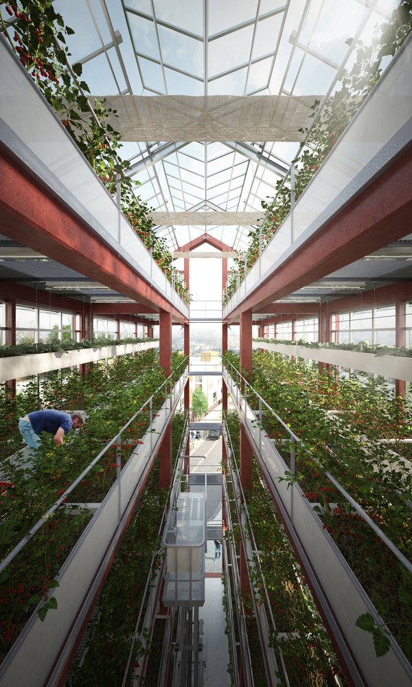 Material Cultures – Bio-Based Design for a Regenerative Future